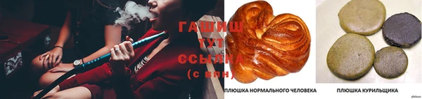спиды Бородино