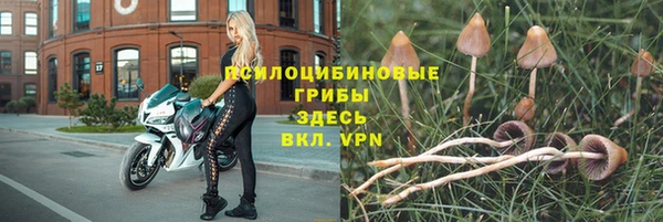 спиды Бородино