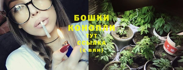 спиды Бородино