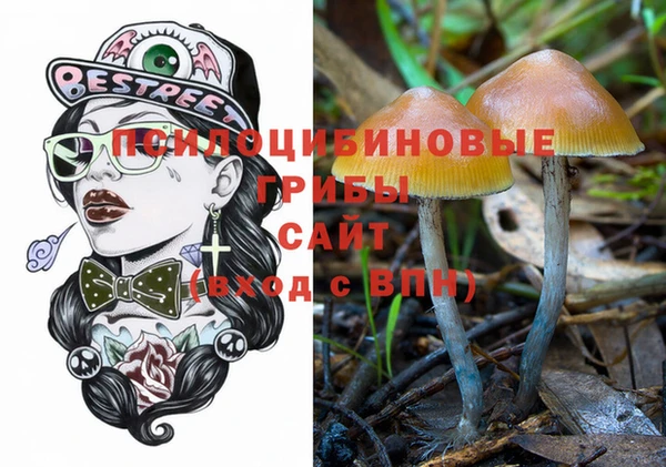 ешки Бугульма