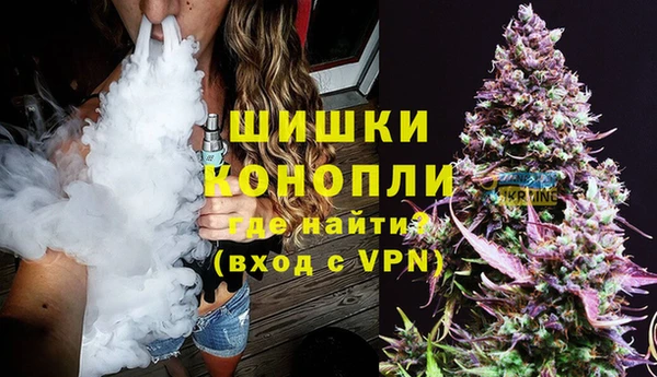 спиды Бородино