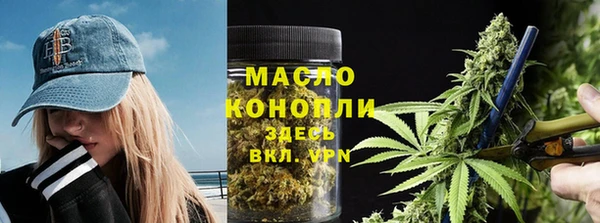 спиды Бородино
