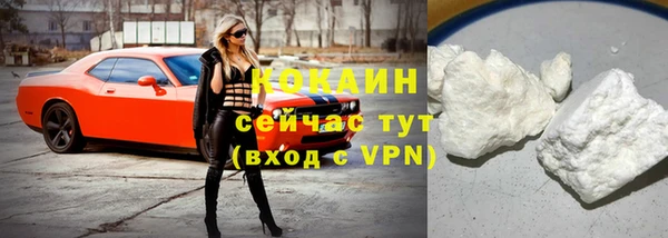 спиды Бородино