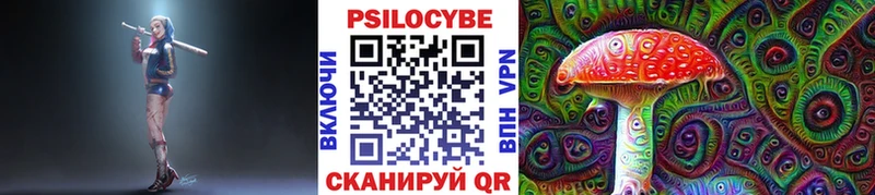 где можно купить наркотик  Кондопога  Псилоцибиновые грибы Psilocybe 
